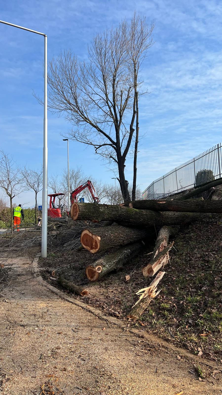 servizi protezione civile