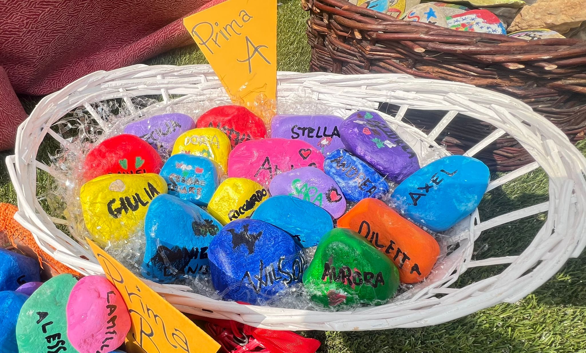 servizi protezione civile